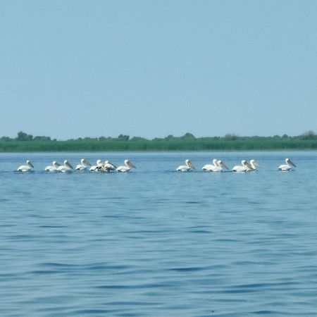 Gorgova Delta Village Εξωτερικό φωτογραφία