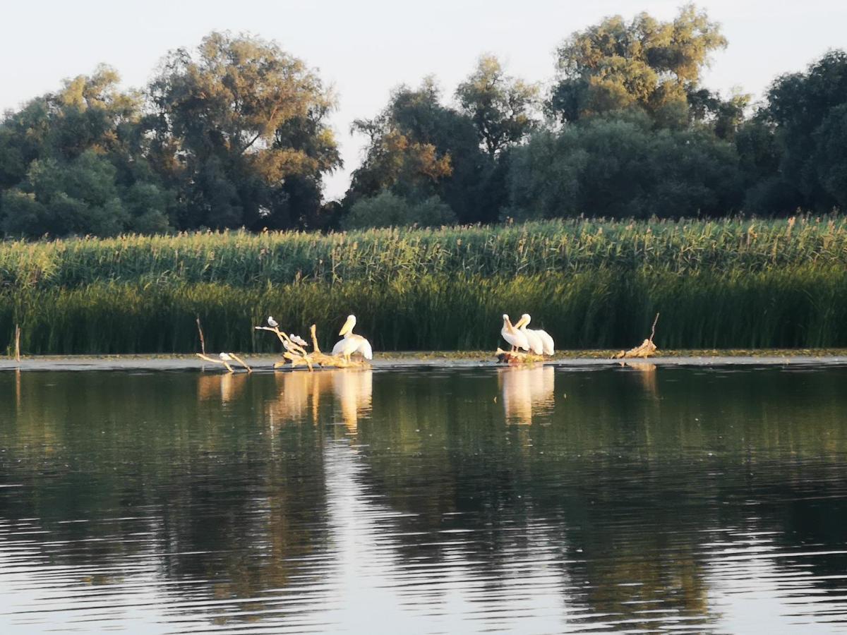 Gorgova Delta Village Εξωτερικό φωτογραφία