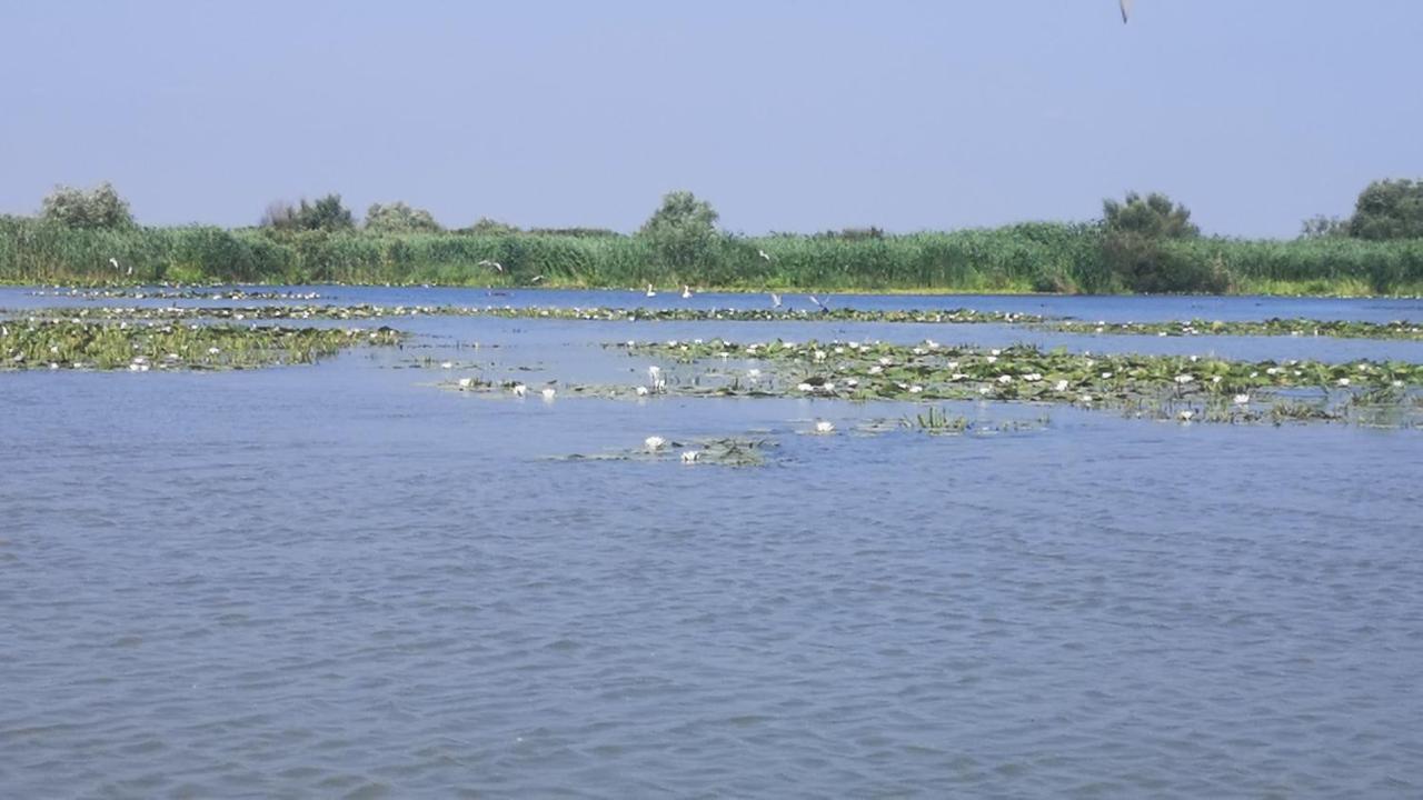 Gorgova Delta Village Εξωτερικό φωτογραφία