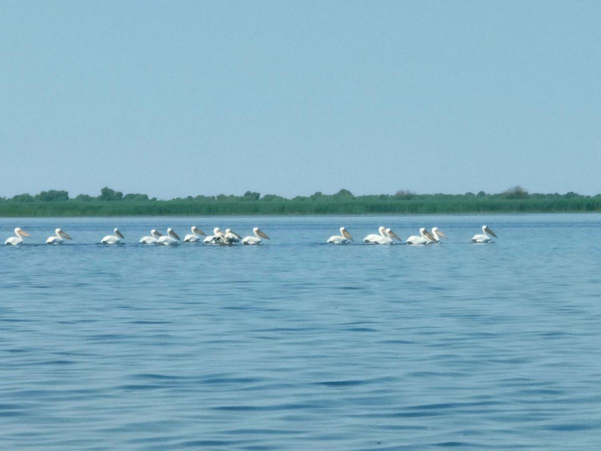 Gorgova Delta Village Εξωτερικό φωτογραφία
