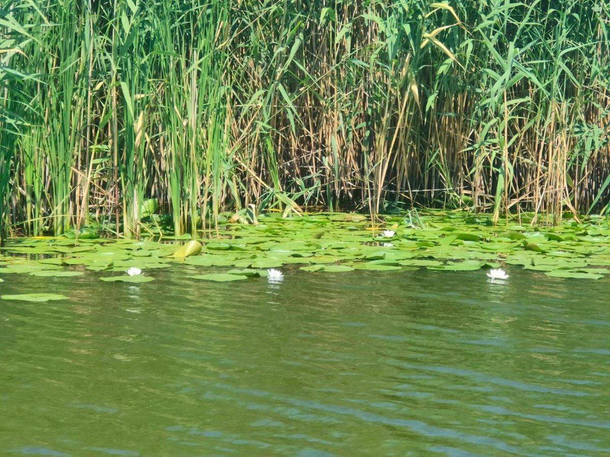Gorgova Delta Village Εξωτερικό φωτογραφία