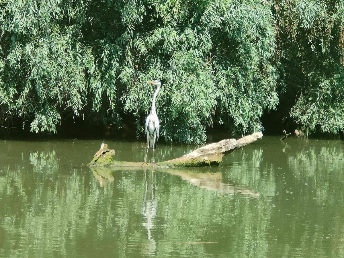 Gorgova Delta Village Εξωτερικό φωτογραφία