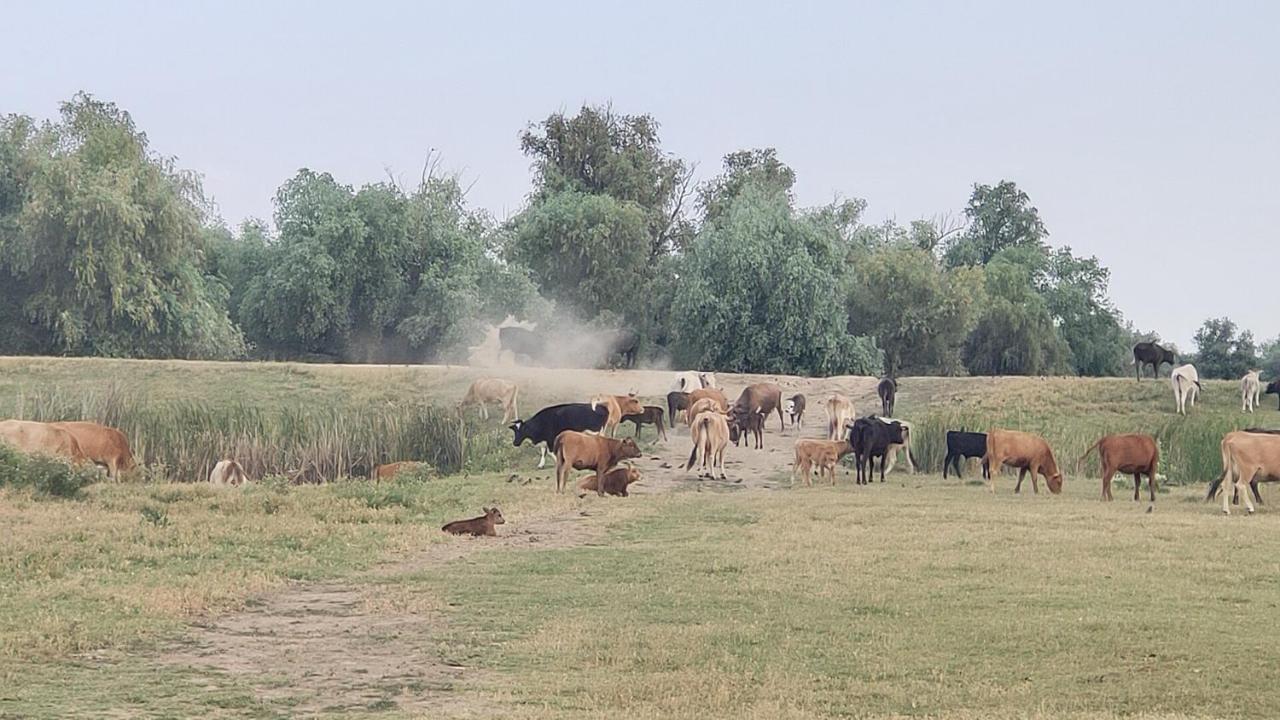 Gorgova Delta Village Εξωτερικό φωτογραφία