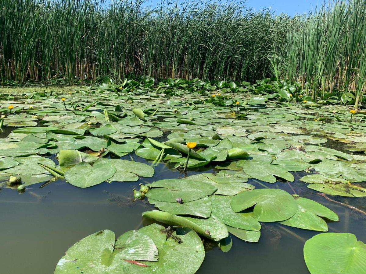 Gorgova Delta Village Εξωτερικό φωτογραφία
